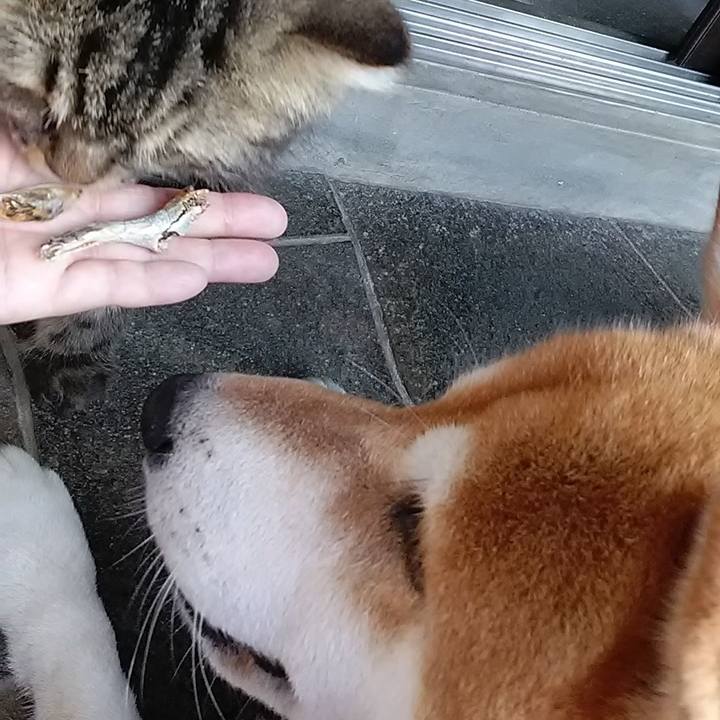 32ddc3c4 d1f2 47dd b702 bdfe7ac6f836 1627341359335