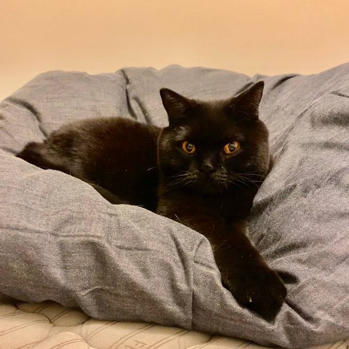 32ddcf7e 1d3f 4608 b56d 6551b36121ab 1666706285206