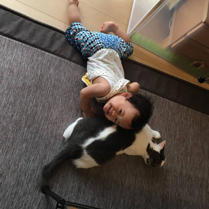 32ddf22f 0bd9 45d3 9d14 0a675df699aa 1536540058335