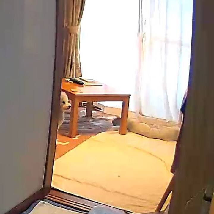 32de0dbd a33a 4775 97fd 28049170271b 1630651277647