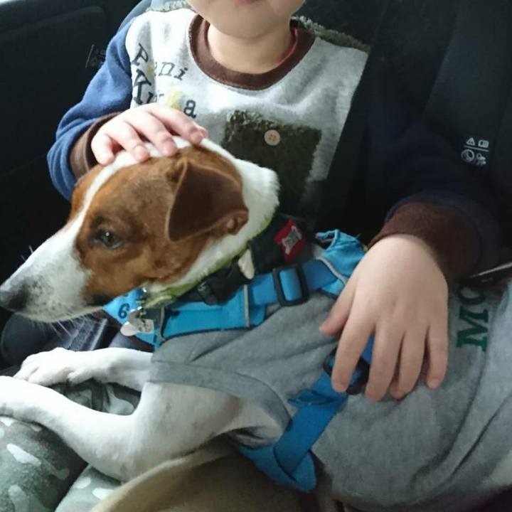 32de210d 4fd9 4d10 9753 273db04c41b5 1607863148751