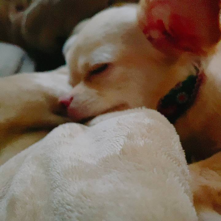 32de354e 80de 4fda 9589 f0c2ccd8e7d6 1629837555127