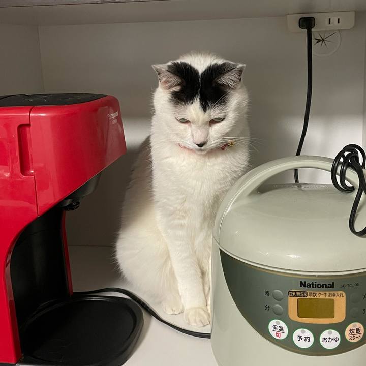 32de3c54 77e4 4699 ba1b 532afa69a4b1 1611838647659