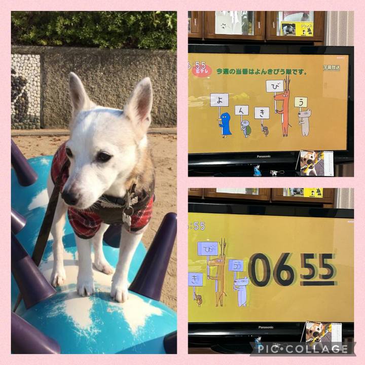 32dedac7 5073 4d00 8703 40819d4969a8 1699567132278