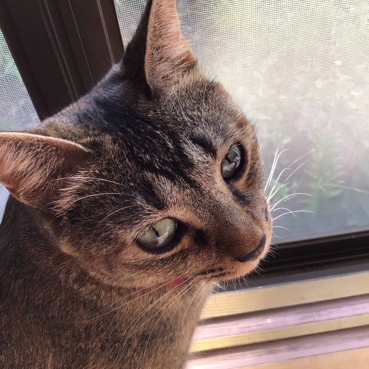 32deee09 d1ab 44ed ac6f 049e34beb850 1598659491486