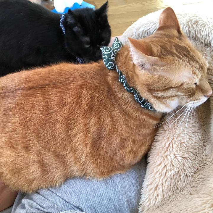 32df0821 2dd9 48e8 b524 f354d31bac71 1559423717692