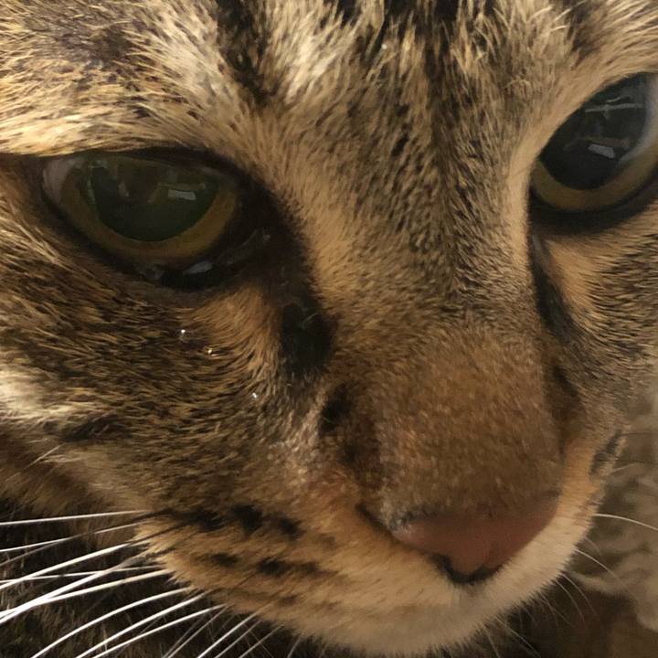 32df0fda 298e 48ad 9901 4e156999d40a 1597201516376