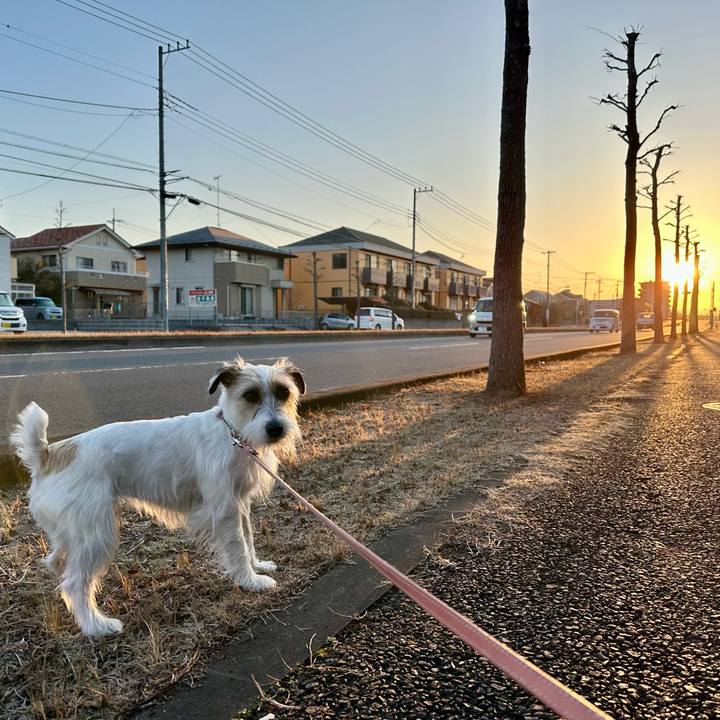 32df3da3 958a 4063 aeb6 48c7a147fa4b 1710450583995