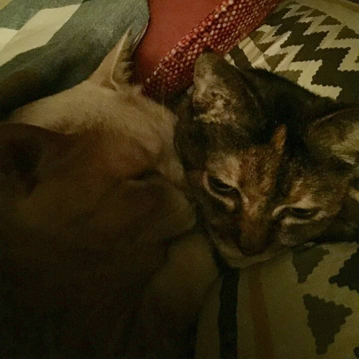 32df792f 2422 464b 9f6b 346673a2bf00 1573584539565