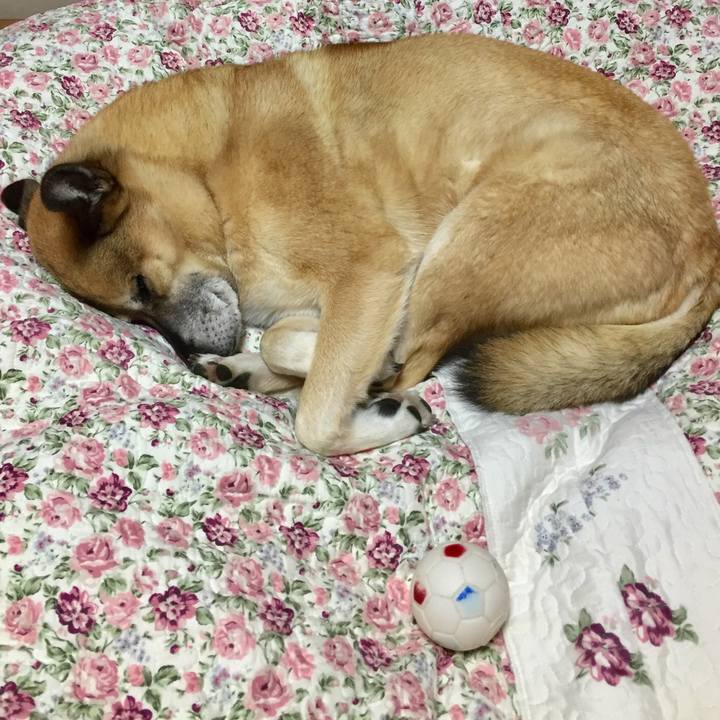 32df8aa4 3fd7 453e 83da fbe876c30369 1549711289586