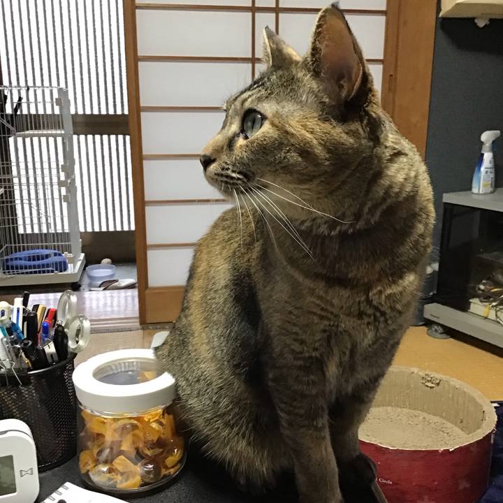 32df903f 63af 4dbf 8837 d5df2dcdd76b 1708848048772