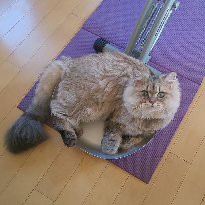 32dfcb9b d409 4285 97d5 a963bf6448af 1570424730793