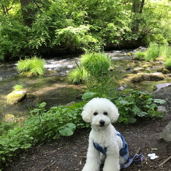 32dfea46 a4f8 4f6f b679 5728c831ce5a 1527310470980