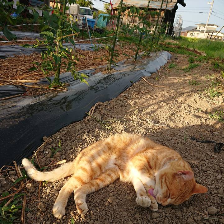 32dff279 a23b 4b73 88b3 a21f84c672d7 1592040312073