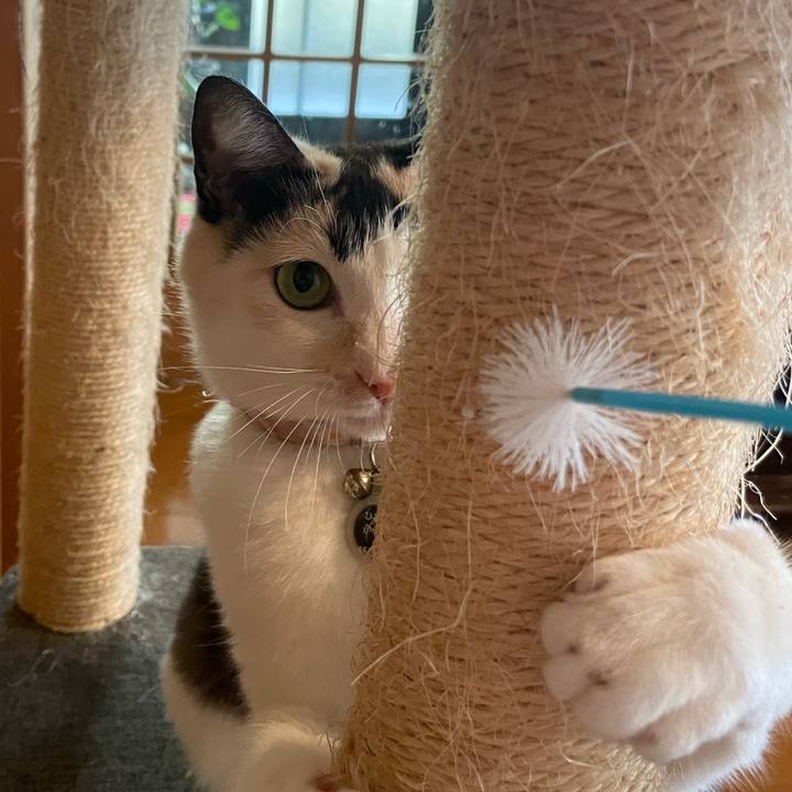 32dff435 ca8d 4220 9918 1c1fbbddaff2 1733359565446