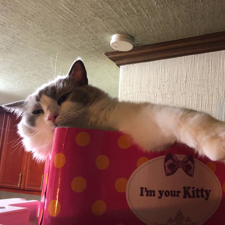 32e00696 6514 46b3 947a e0ce743a2531 1566218206941