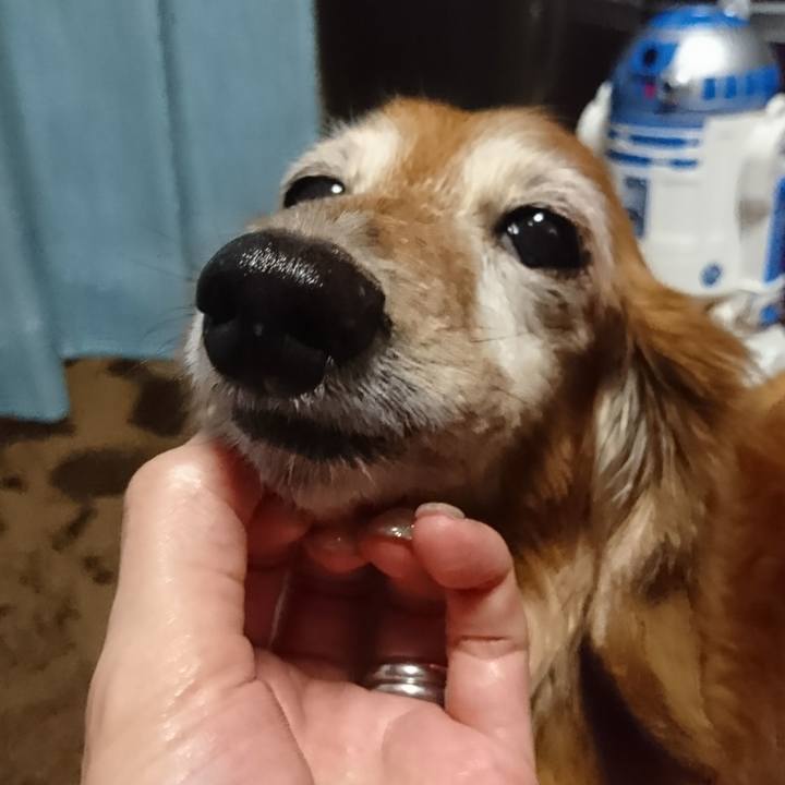 32e00c67 dae4 4e4f 87d7 f8e4d85a84a9 1512953068994