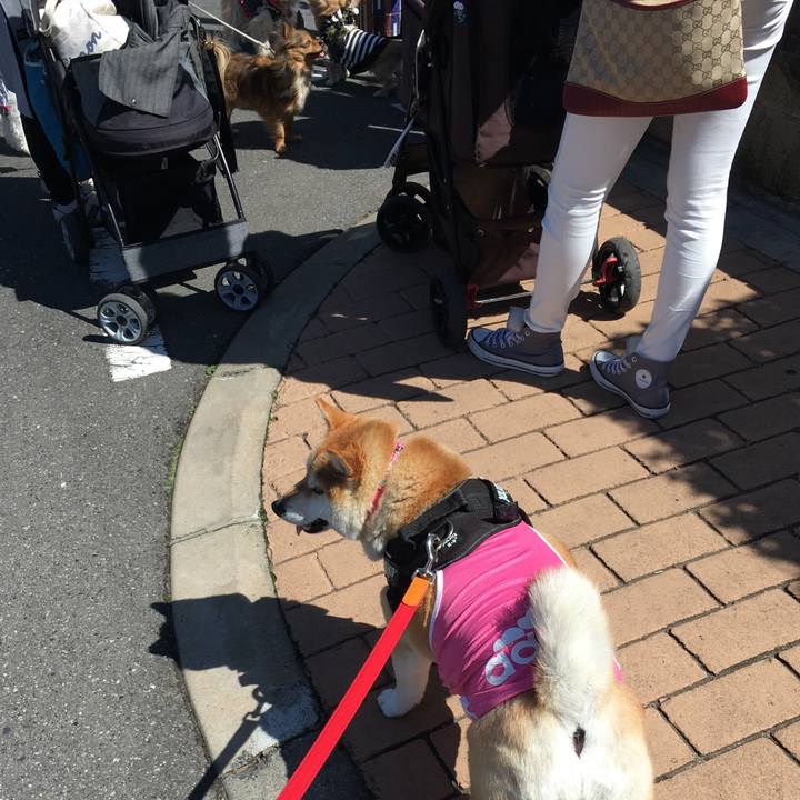 32e04c88 51cf 42d4 a905 0c8bbcbd737c 1583899482651