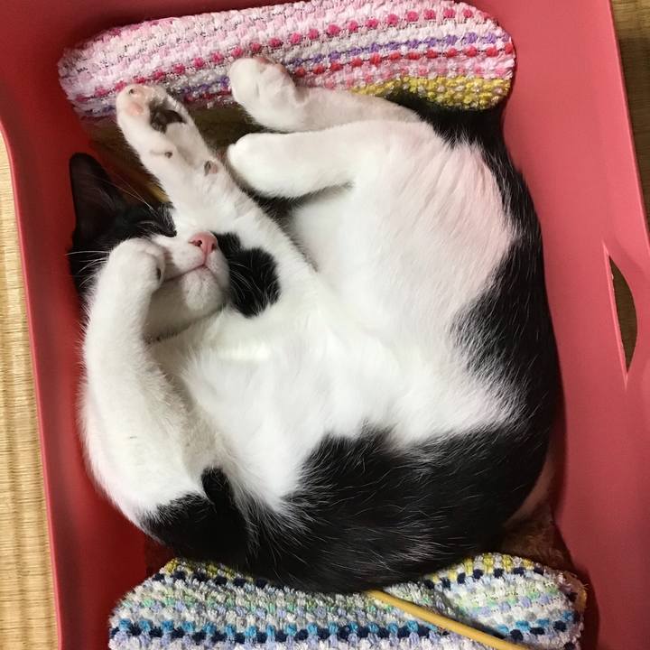 32e0a4d2 540b 46af b354 9ca444f5d5c5 1627975730029