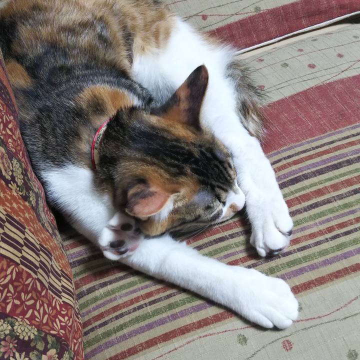 32e0a846 951d 4579 9462 0812650f7219 1635593108675