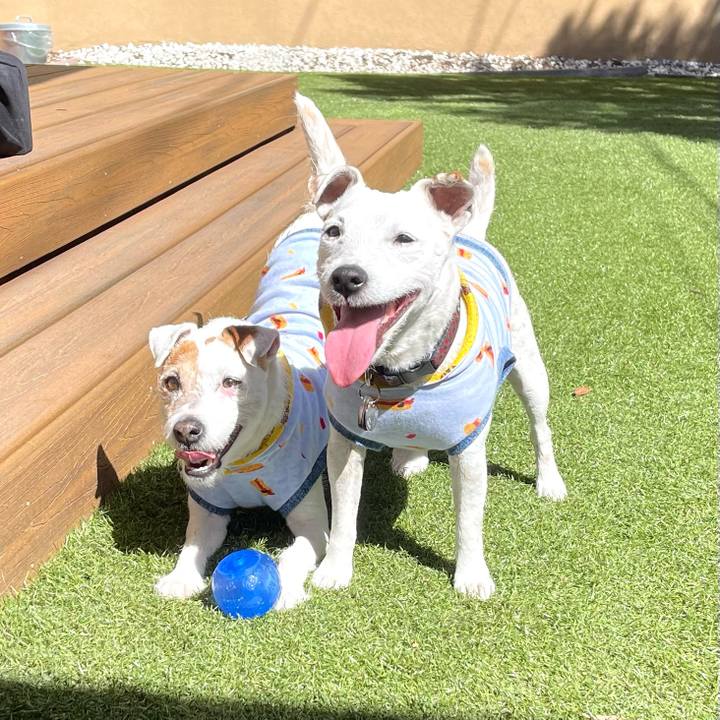 32e0abc1 e977 45c3 8186 0862b5b0f093 1679163908008