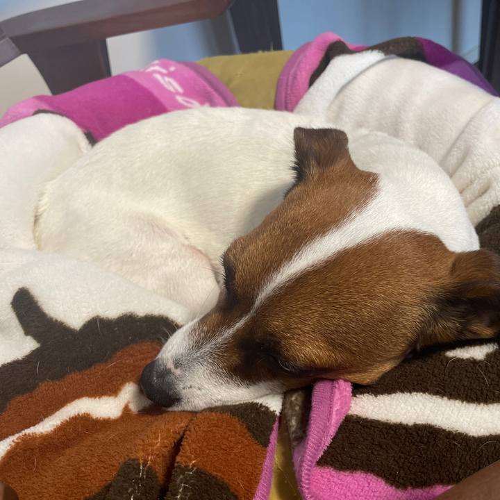 32e0c86c 60aa 45bd 963f 2834bd6eb962 1643091883407