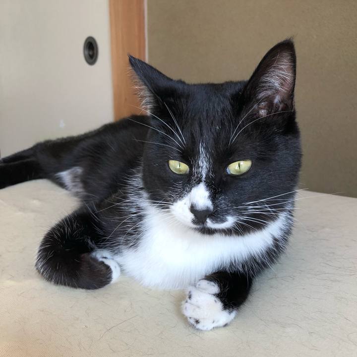 32e0cf3d 1ecc 4038 97f0 1aa0666d6fc3 1522641210129