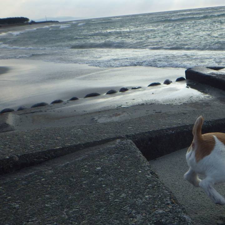 32e0d5e5 eb0a 40e7 9e9f dc24768b9fea 1553690576834