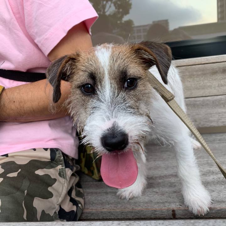 32e0fb2a c9e5 4296 9f0a b5ac6812c2f7 1565518998456