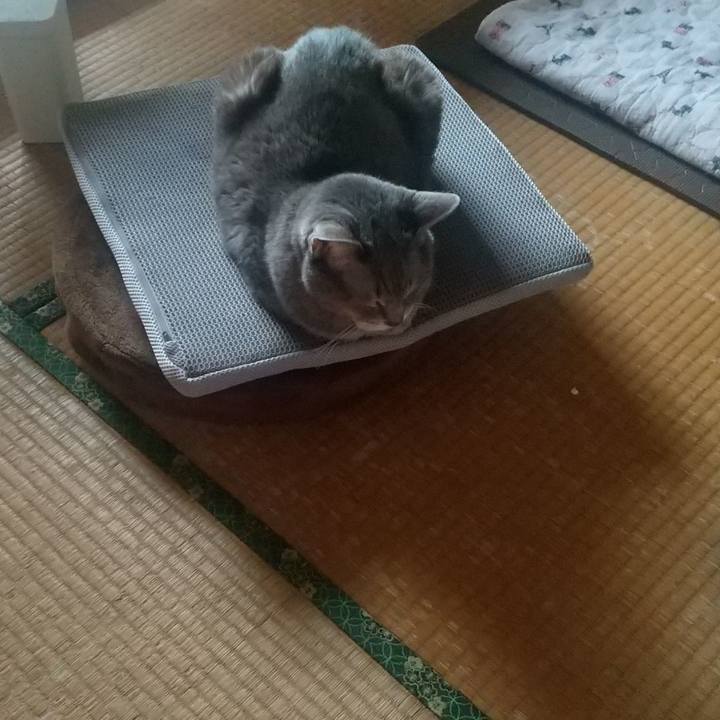 32e11bca 782c 4e13 832a 6859ecb54c01 1666392345687