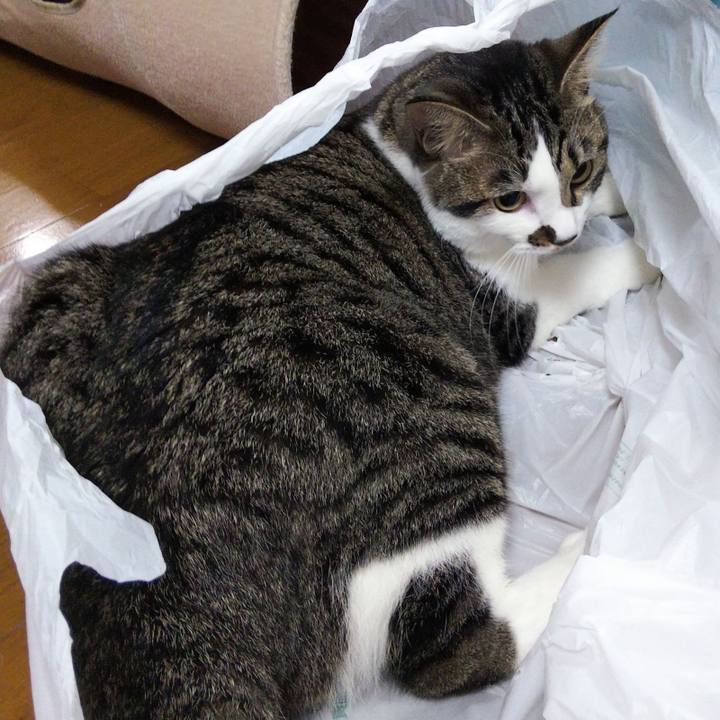 32e14840 85ed 49b1 8562 88e911ae5a3c 1628934238300