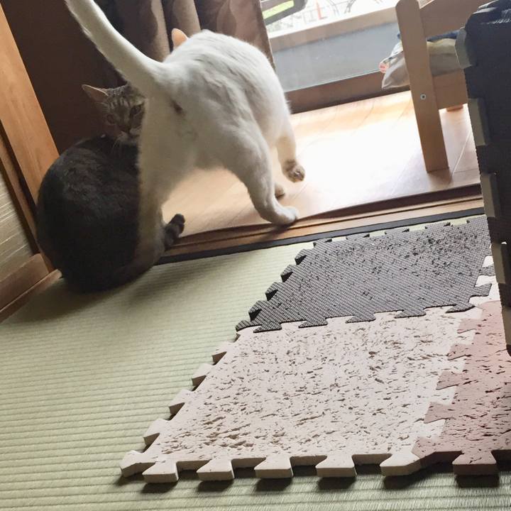 32e15386 cb39 4cd7 a8b9 b9bb63c0dd9f 1551570892506