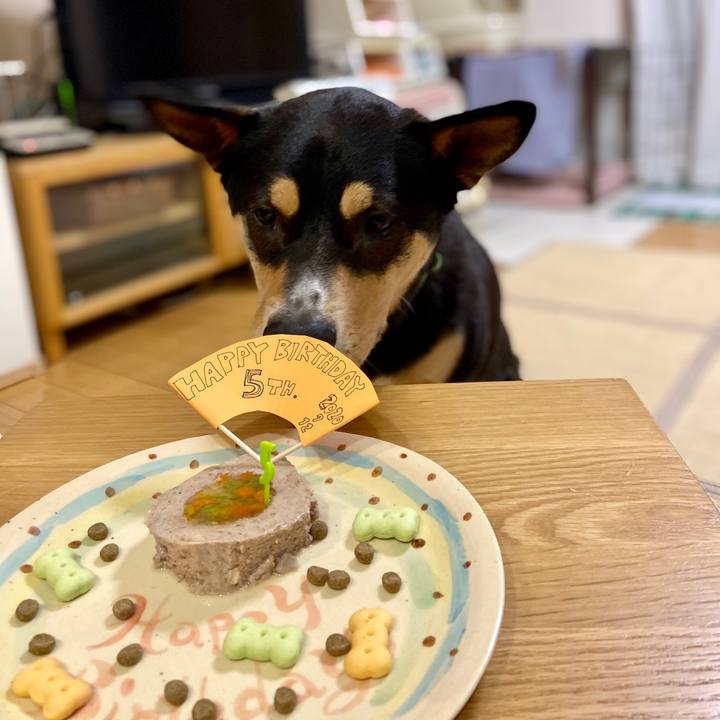 32e1600c d94e 4578 a24d 89cf60e03a8b 1594556489119