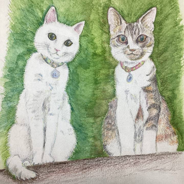 32e16640 a98a 4a3e a677 b2d577fa205d 1649354964525