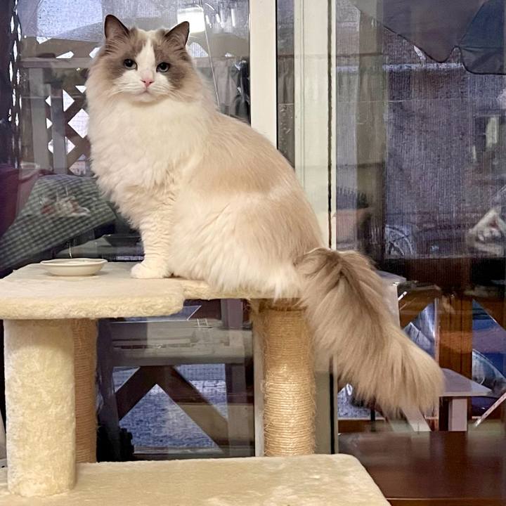 32e1a35e 3467 4630 83f4 6d1e9109111f 1745923274495