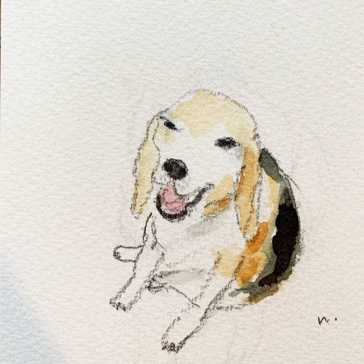 32e1a9a1 4bf7 4c94 8912 9a8cc3d2c3ad 1584691596573