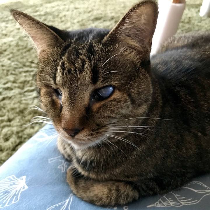 32e1d656 eb4d 4175 9d0f 6464fa7b69c1 1540869718409