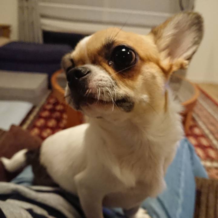 32e1df01 431d 4f85 9827 d712196157af 1539251740915