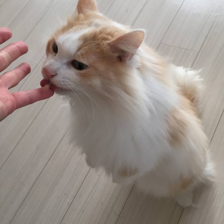 32e1e5c5 55e4 4e30 827c 63e99cf89470 1517953081416