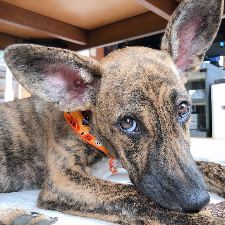 32e1f35b d743 4e11 8bd4 64bdb0009542 1572344021219