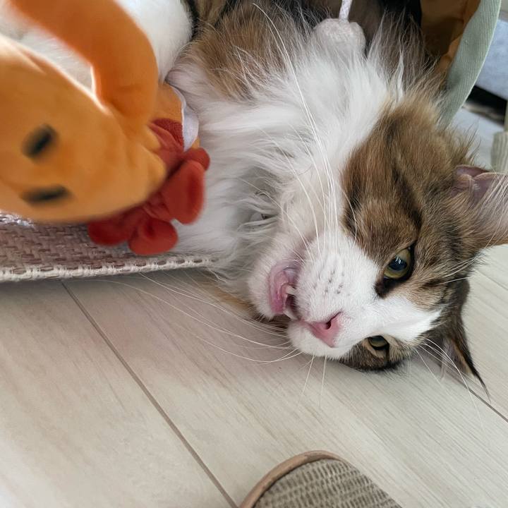 32e1faf2 5c5b 4631 91e9 7460e5fa305f 1654291512228