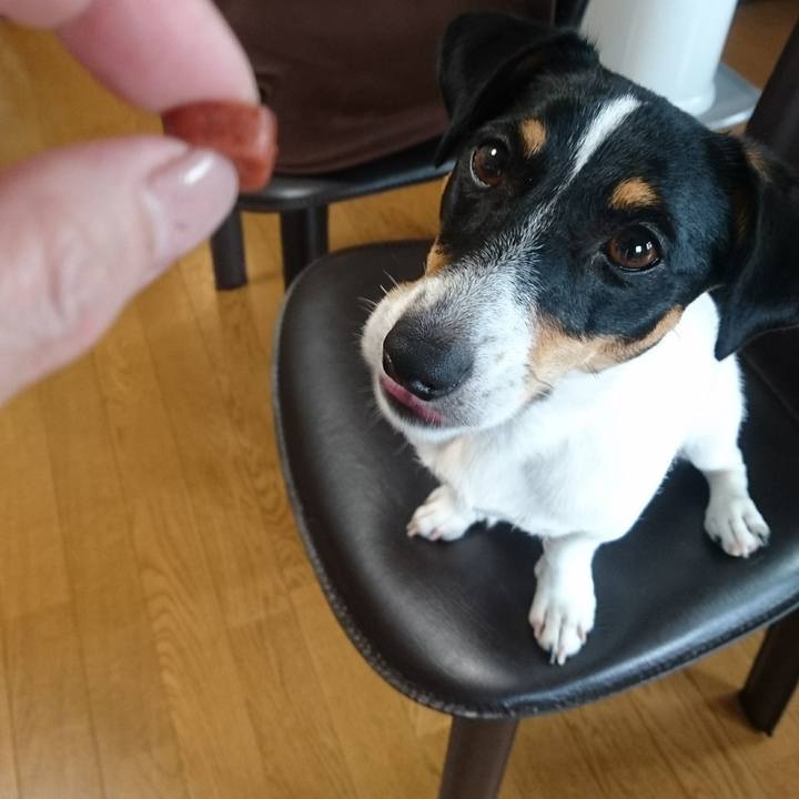 32e2024f 29f3 4f45 98b7 5da8745de2f7 1536013600883