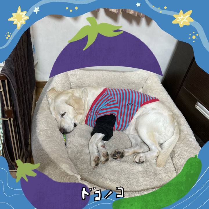 32e20d2e 73ff 4553 86a0 d5d6627d928c 1755094110681