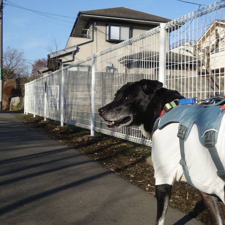 32e22c6c cb81 46a6 a188 854b29499802 1707528242189