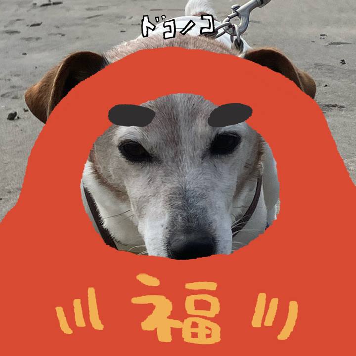 32e25fba 4fcf 4ea0 9643 ae81f2182408 1771893200894