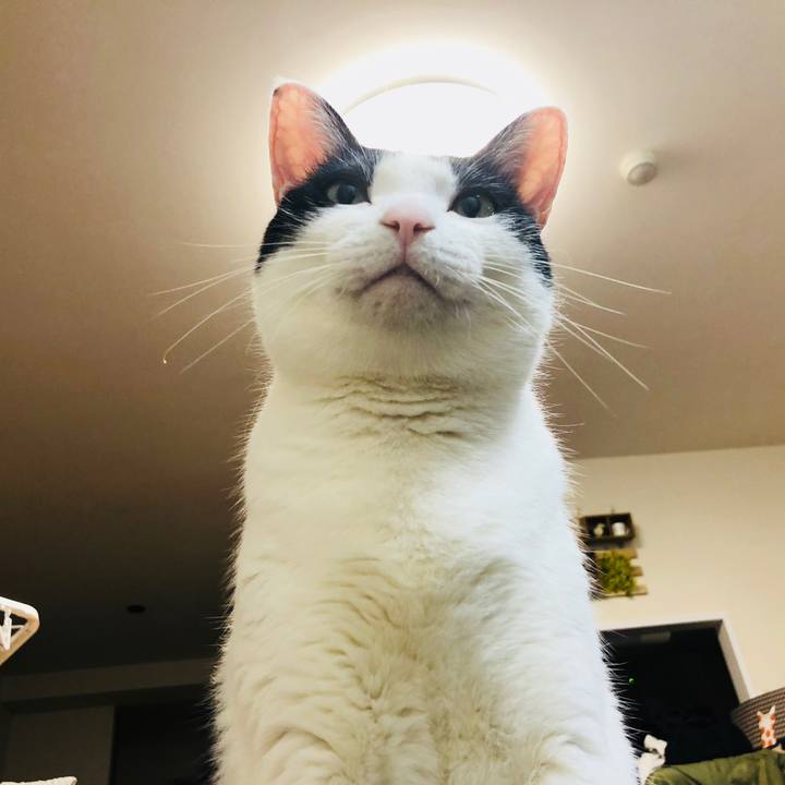 32e280ad 01b1 49c0 a23c 6049aadbdcd7 1524362234369