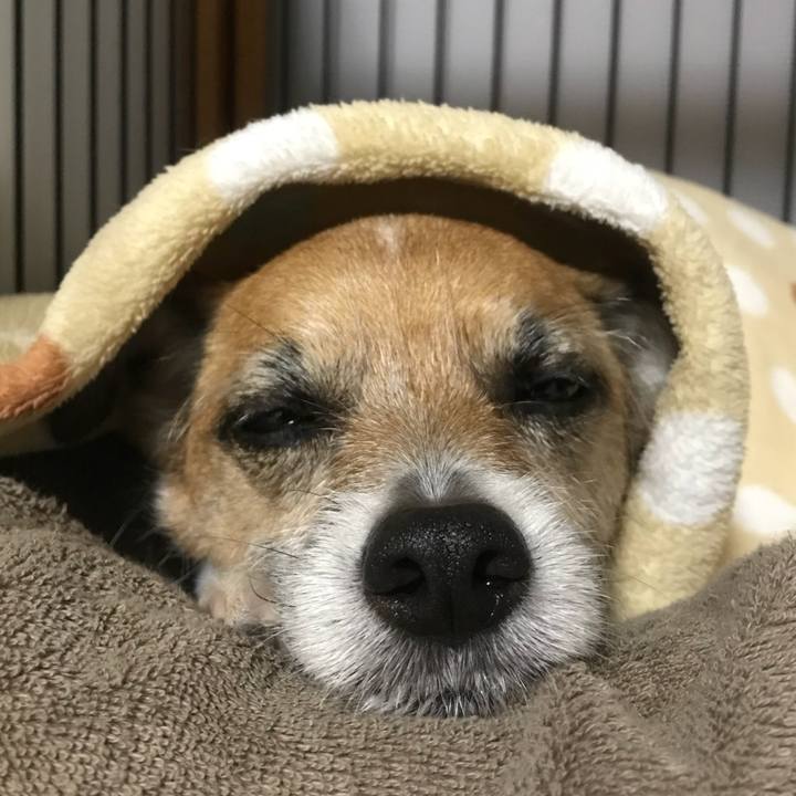 32e2866f dbb3 4386 932b b6304765b86f 1524396573571