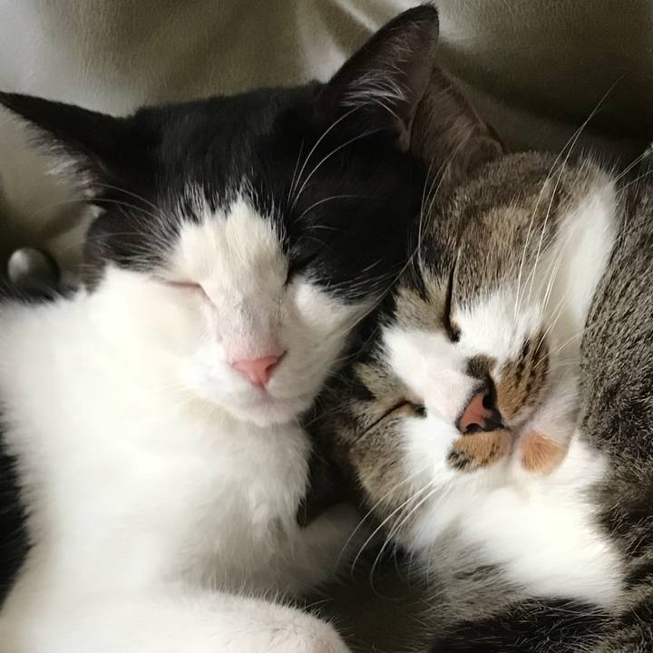 32e292c6 9c09 47e1 a058 f4c5bcaebd9d 1534560309959