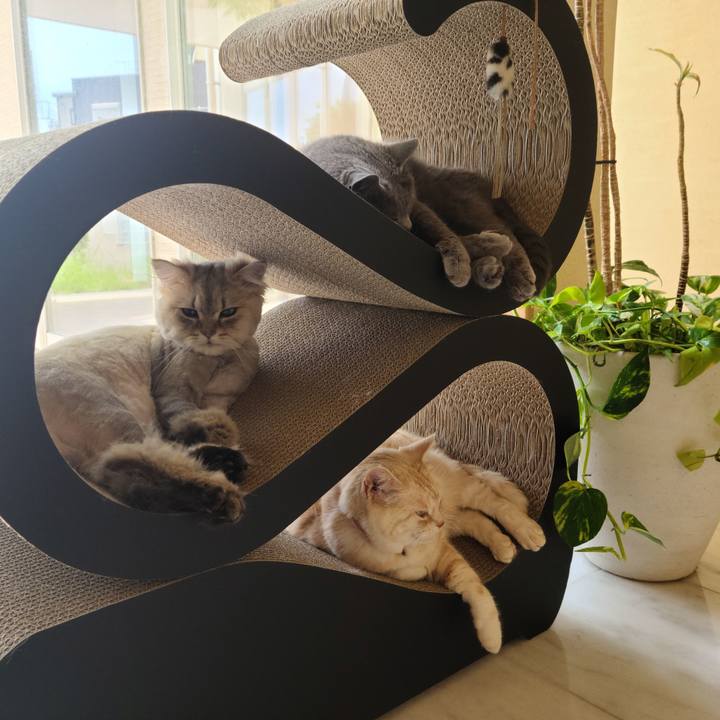 32e2a254 cc74 4c0b af2a 2af8ff9982a0 1623899927438