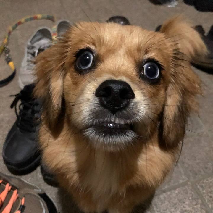 32e2dfd3 5148 40f5 ab7c db83a87991df 1508880501425